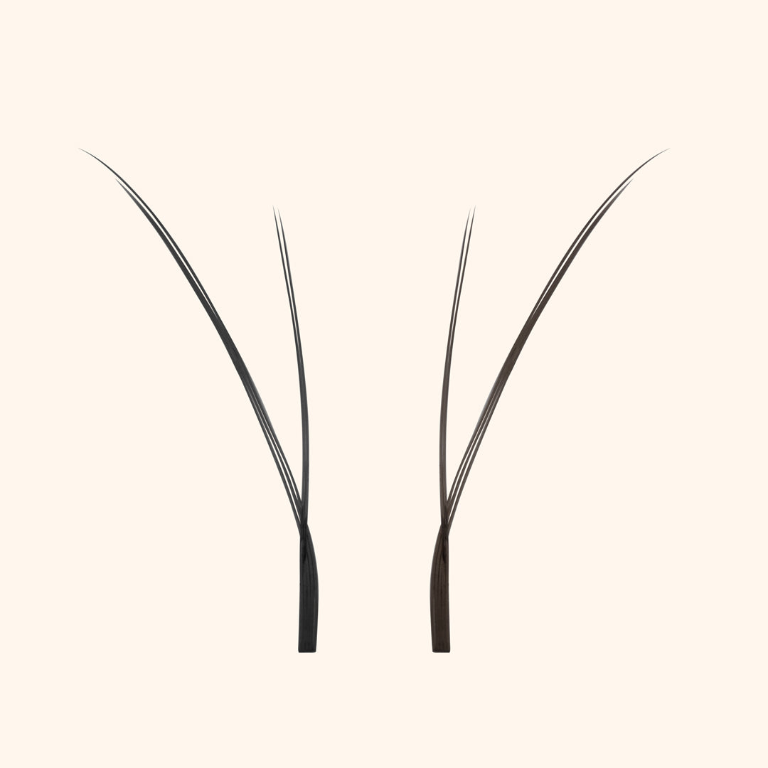 Kitten Lashes - Noir