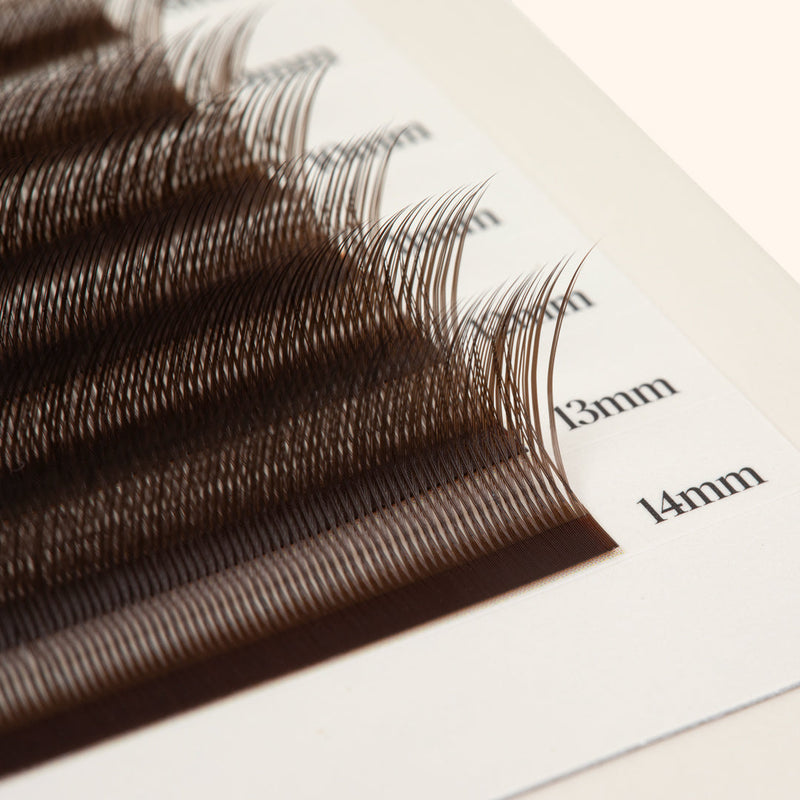 Kitten Lashes - Marron