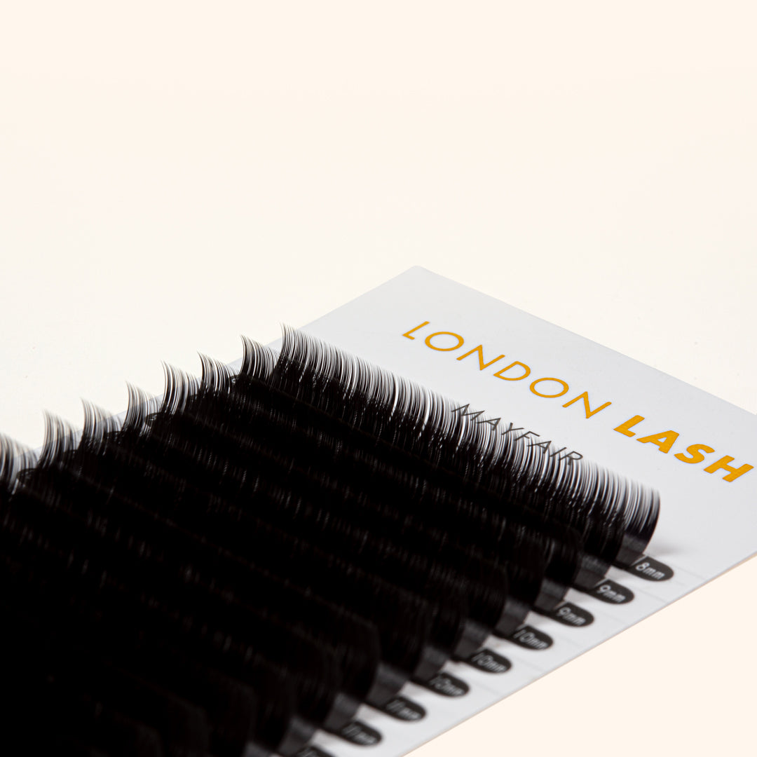 extensions de cils volume Mayfair 0.07 sur une bande de cils London Lash