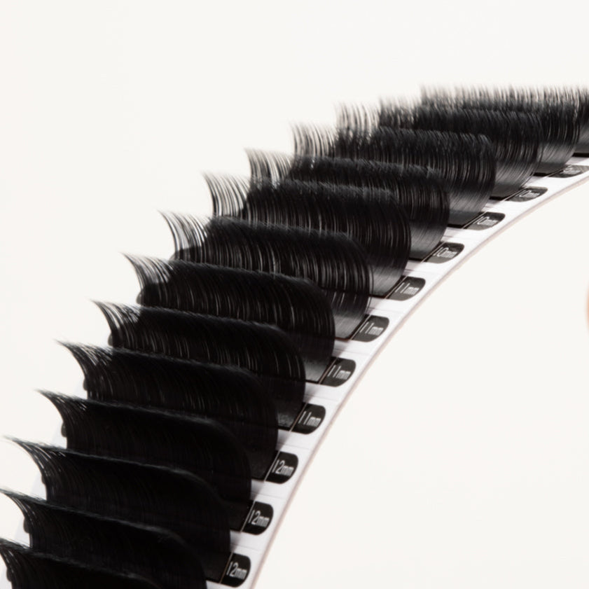 EXTENSIONS DE CILS MÉGA VOLUME MAYFAIR 0.03