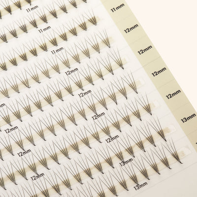 Cils Préfaits Mayfair 4D 0.07 Volume Étroit, longueurs mixtes 11-13mm, sur un plateau, bases pincées pour application professionnelle.