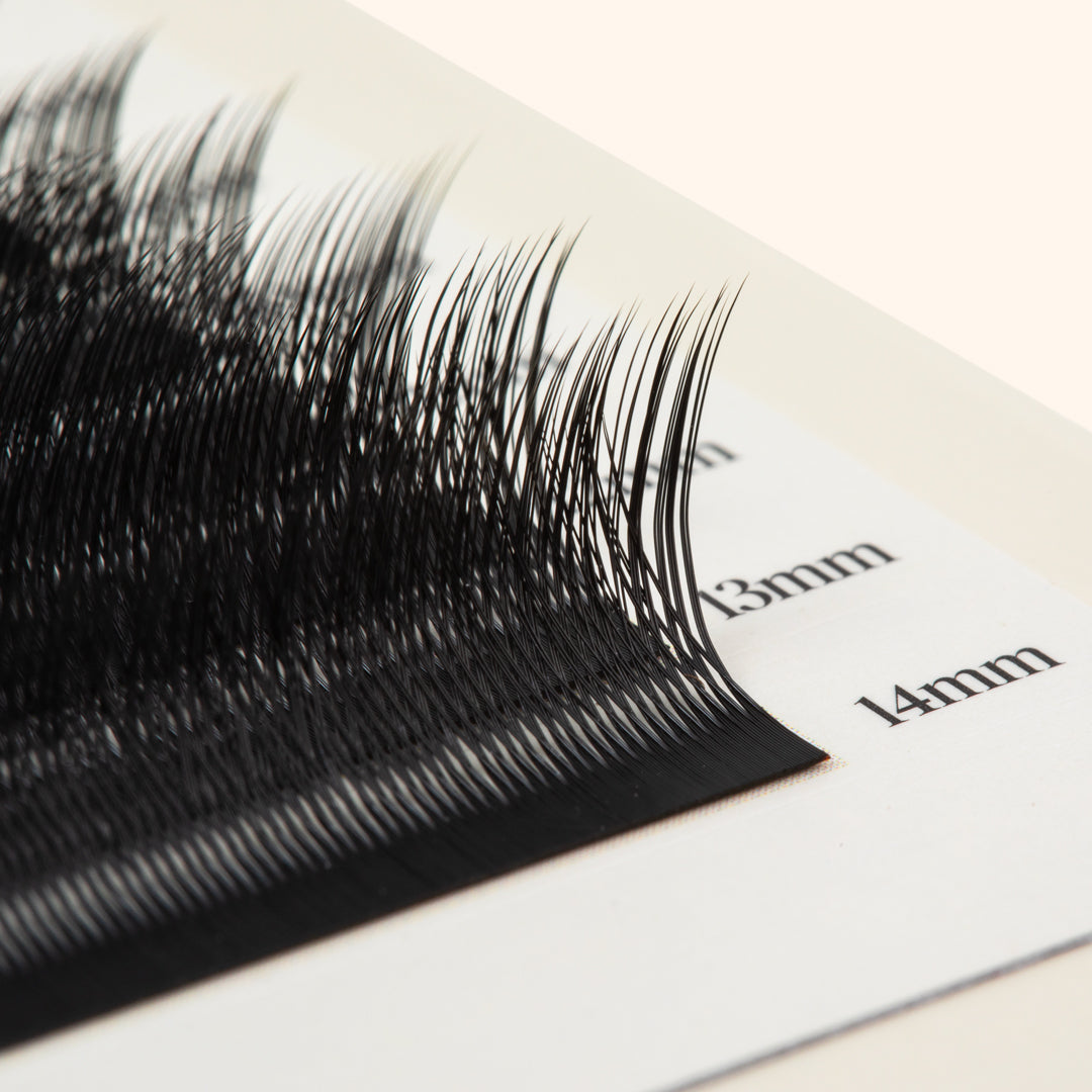 Kitten Lashes - Noir