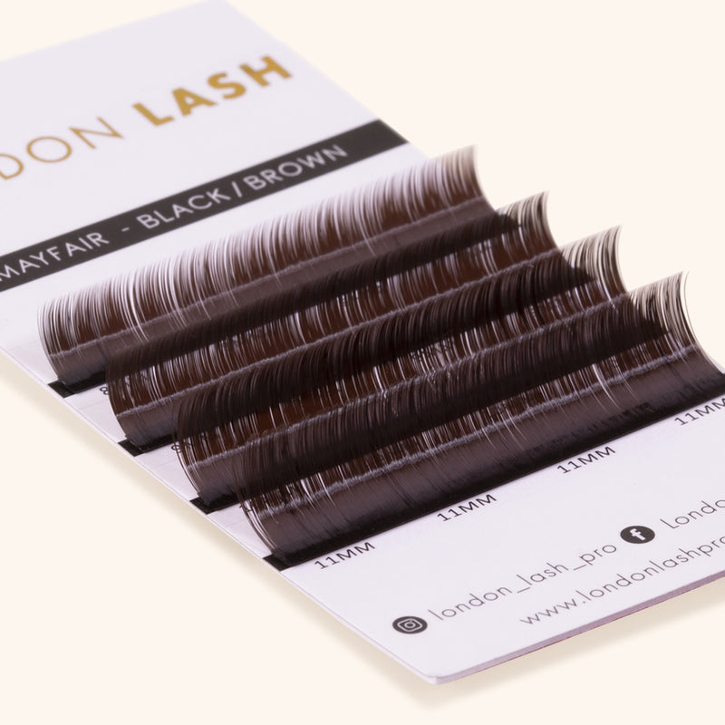 EXTENSIONS DE CILS BRUN FONCÉ MAYFAIR - BOÎTE D’ÉCHANTILLON, extension de cils, extension de cils volume russe, extensions de cils, London Lash